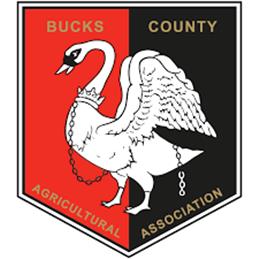 Bucks County Show